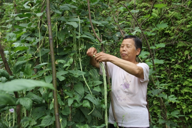 一位糖尿病患者的自述：餐桌富硒讓我嘗到了甜頭